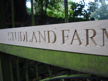 Load image into Gallery viewer, Times New Roman font