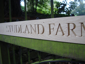 Times New Roman font