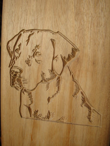 Labrador dog head carved into wood on a memorial bench - 4mb1393