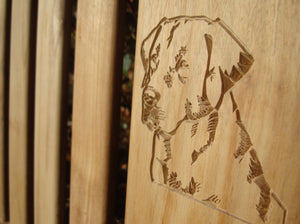 Labrador dog head carved into wood on a memorial bench - 4mb1393