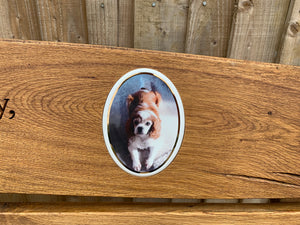 2019-7-6-Rustic bench 6ft in oak wood-5873