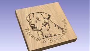 Image of a Labrador carved into wood on a memorial bench